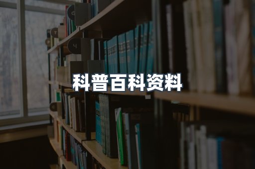 外文电子书系列